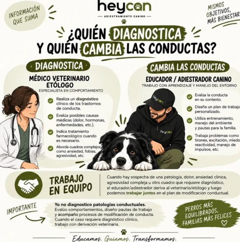 ¿Quién diagnostica y quién cambia las conductas? Veterinario etólogo y educador canino.